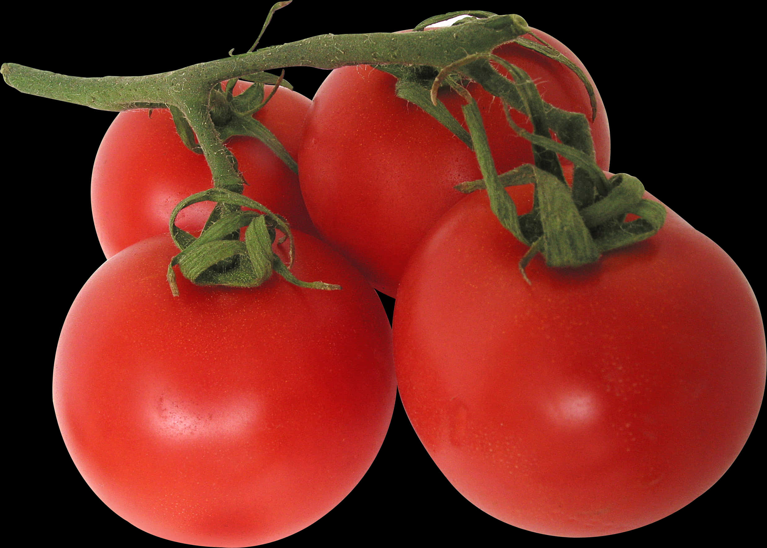 A Group Of Tomatoes On A Vine