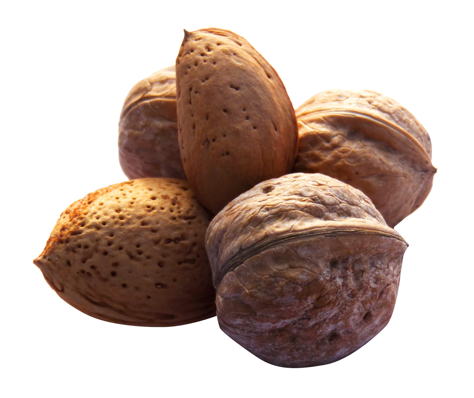 A Group Of Walnuts And Almonds