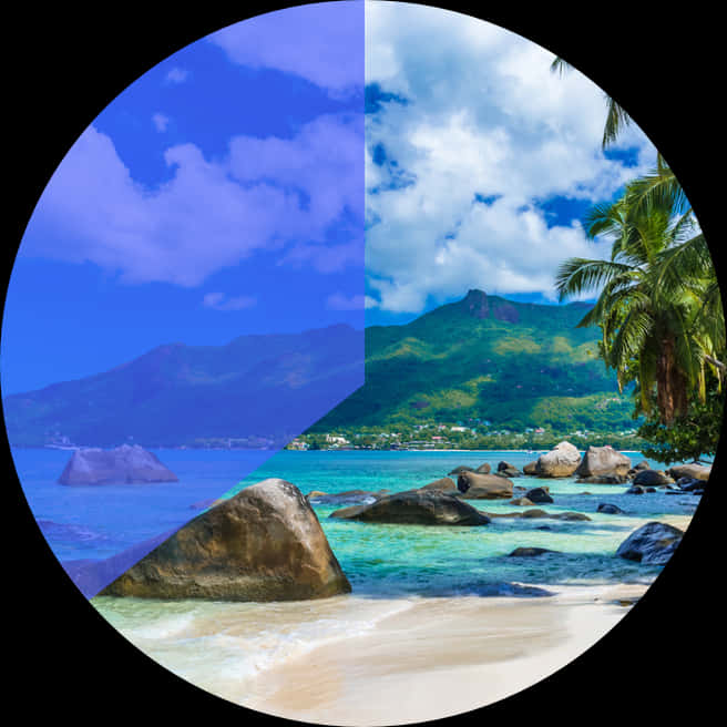 A Split Screen Of A Beach And A Beach With Palm Trees