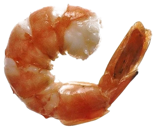 A Shrimp With A Black Background