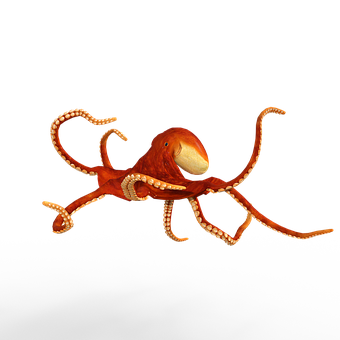 A Red Octopus With White Tentacles