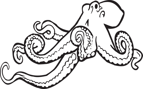 A White Octopus With Tentacles