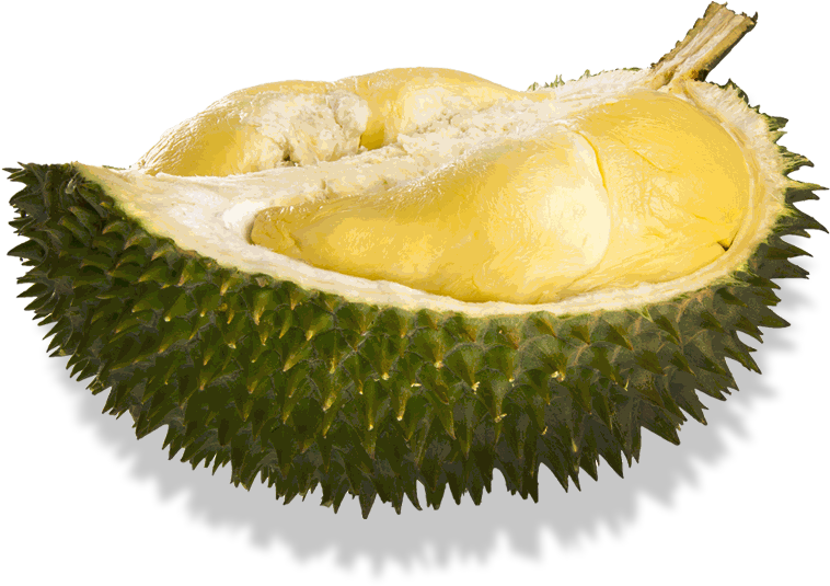 A Close Up Of A Durian