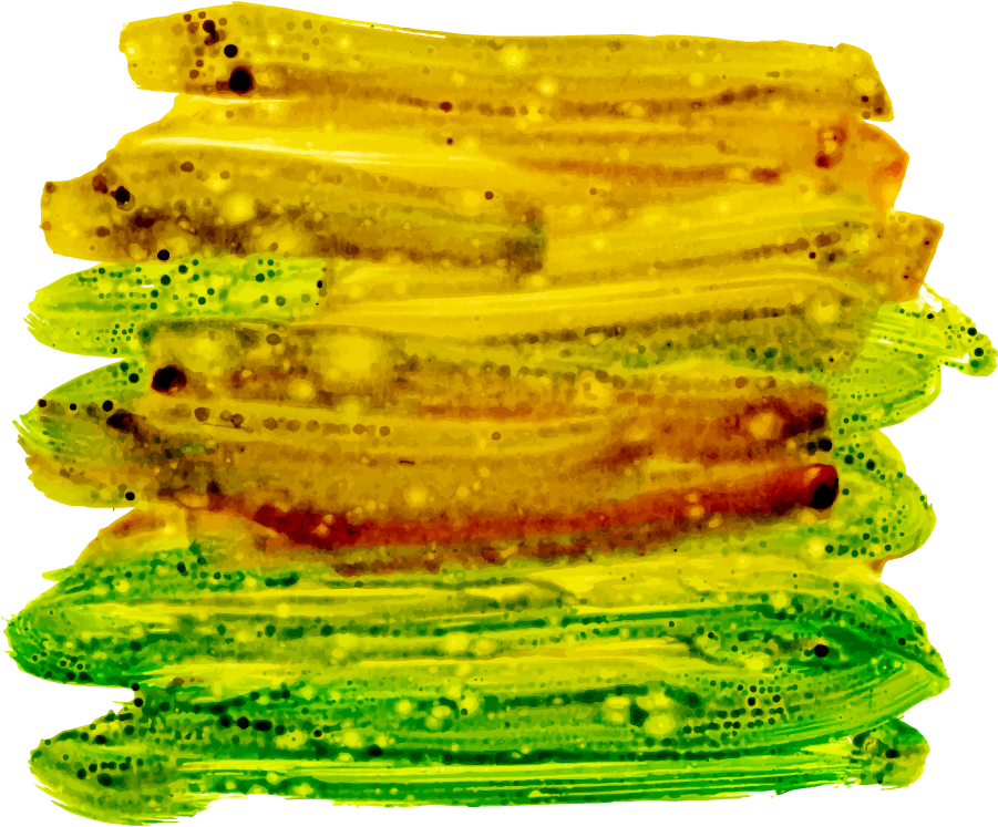A Yellow And Green Paint