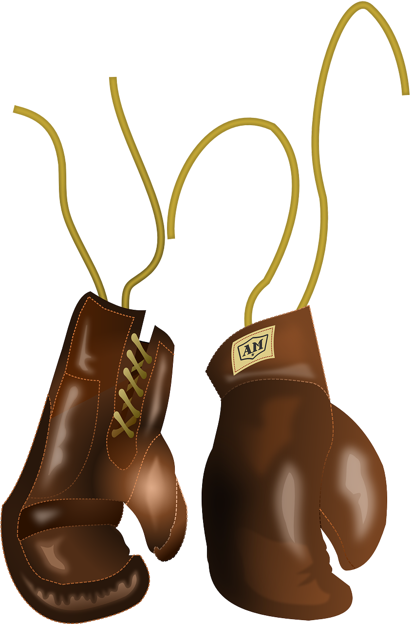 A Pair Of Brown Boxing Gloves