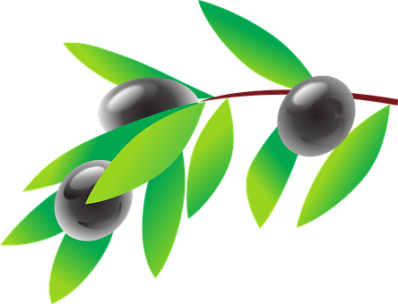 A Black Balls On A Branch With Green Leaves