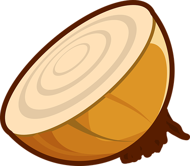 A Half Of A Onion