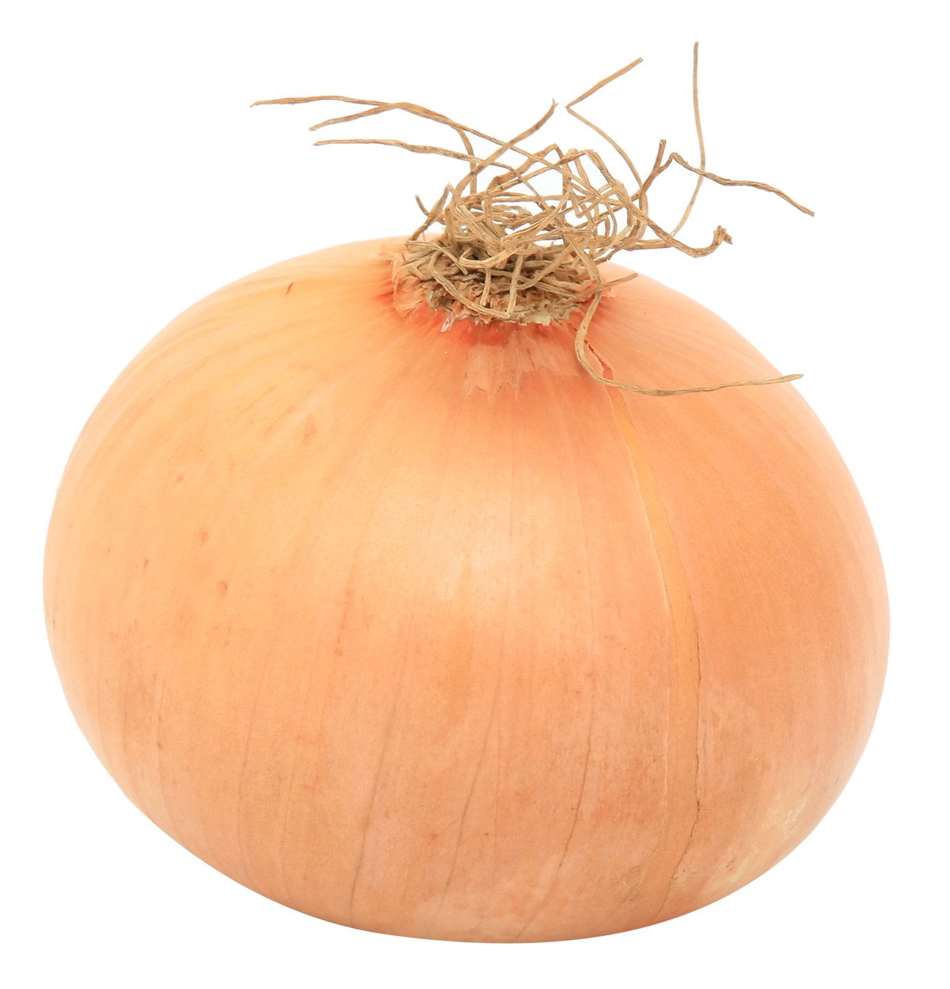 A Close Up Of A Onion