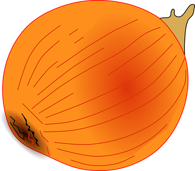 A Drawing Of An Orange Onion