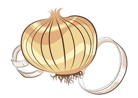 A Onion With A Tape Around It