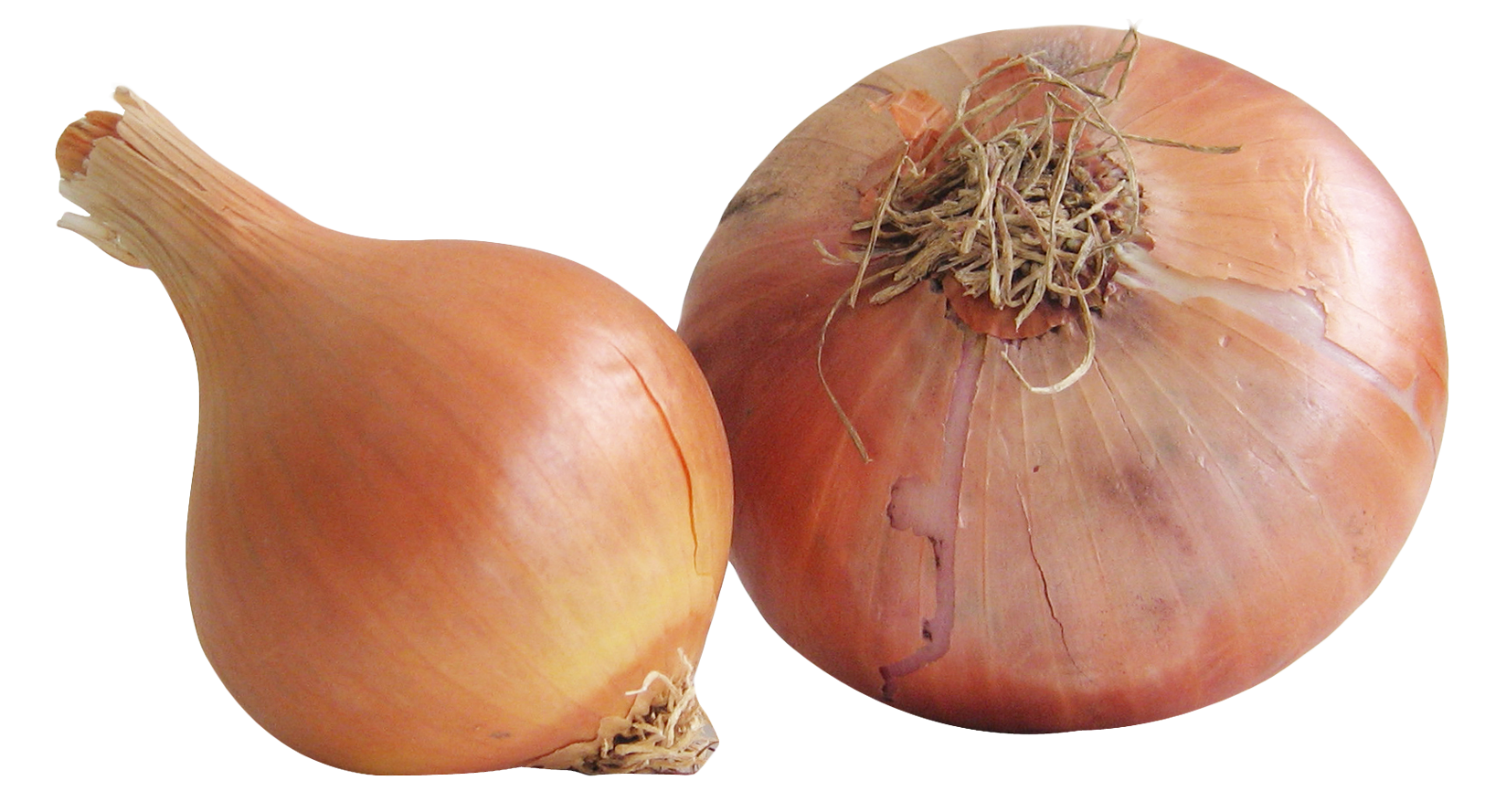 A Close Up Of Onions