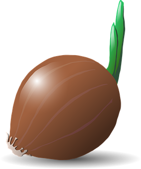 A Brown Onion With Green Stem