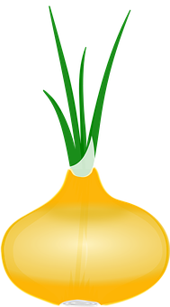 A Yellow Onion With Green Leaves