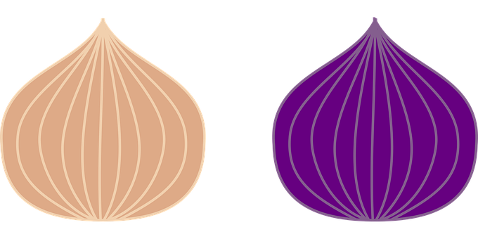 A Purple And White Onion
