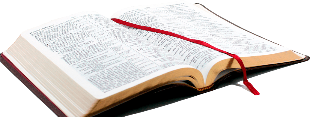Open Bible Red Bookmark