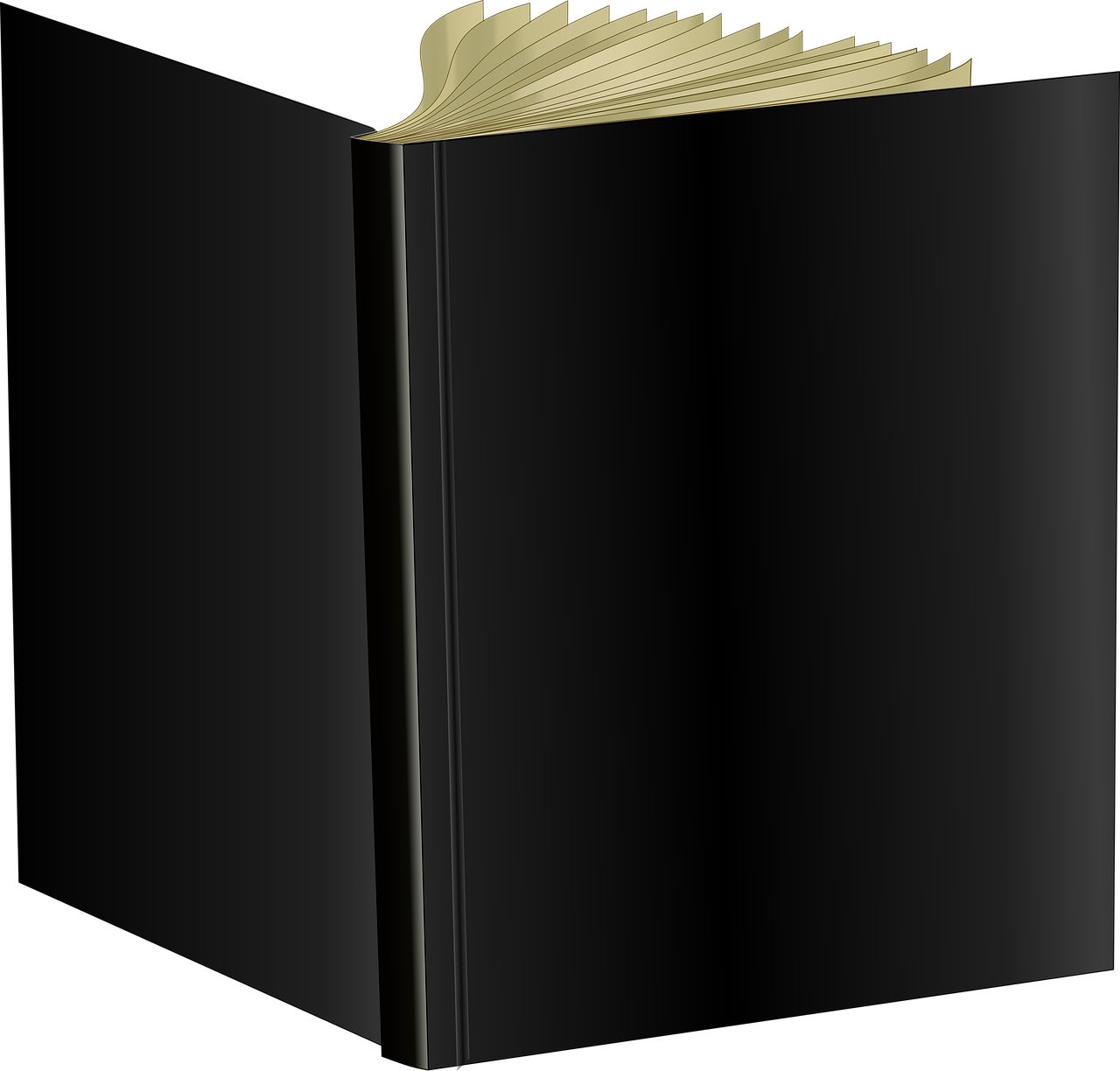 A Black Book With A Gold Edge