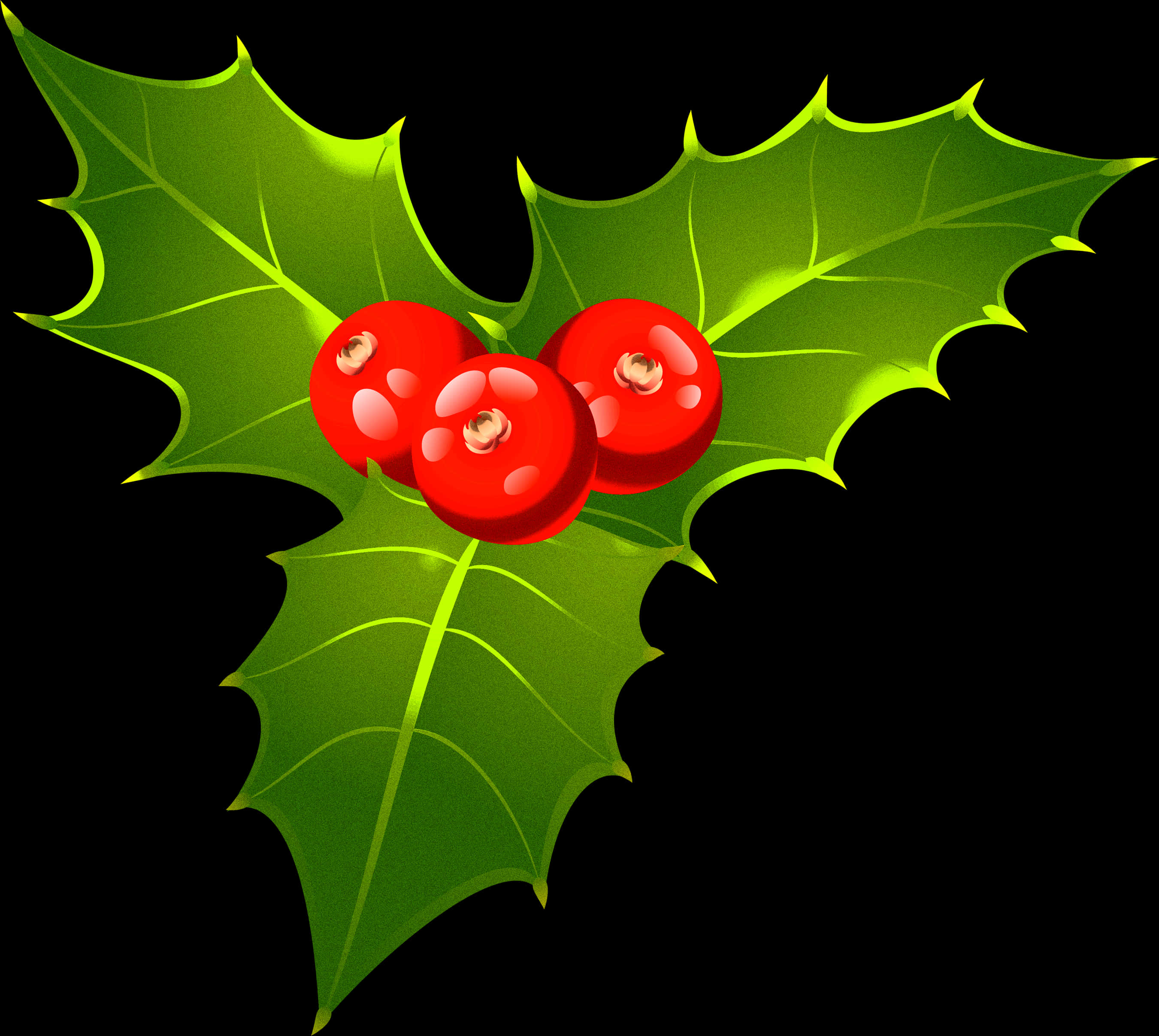 A Holly Leaf With Berries On It