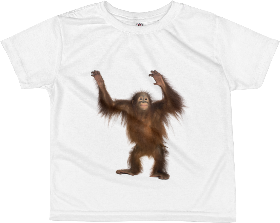 Orang Utan Print All Over Kids Sublimation T Shirt - Ginger Monkey, Hd Png Download