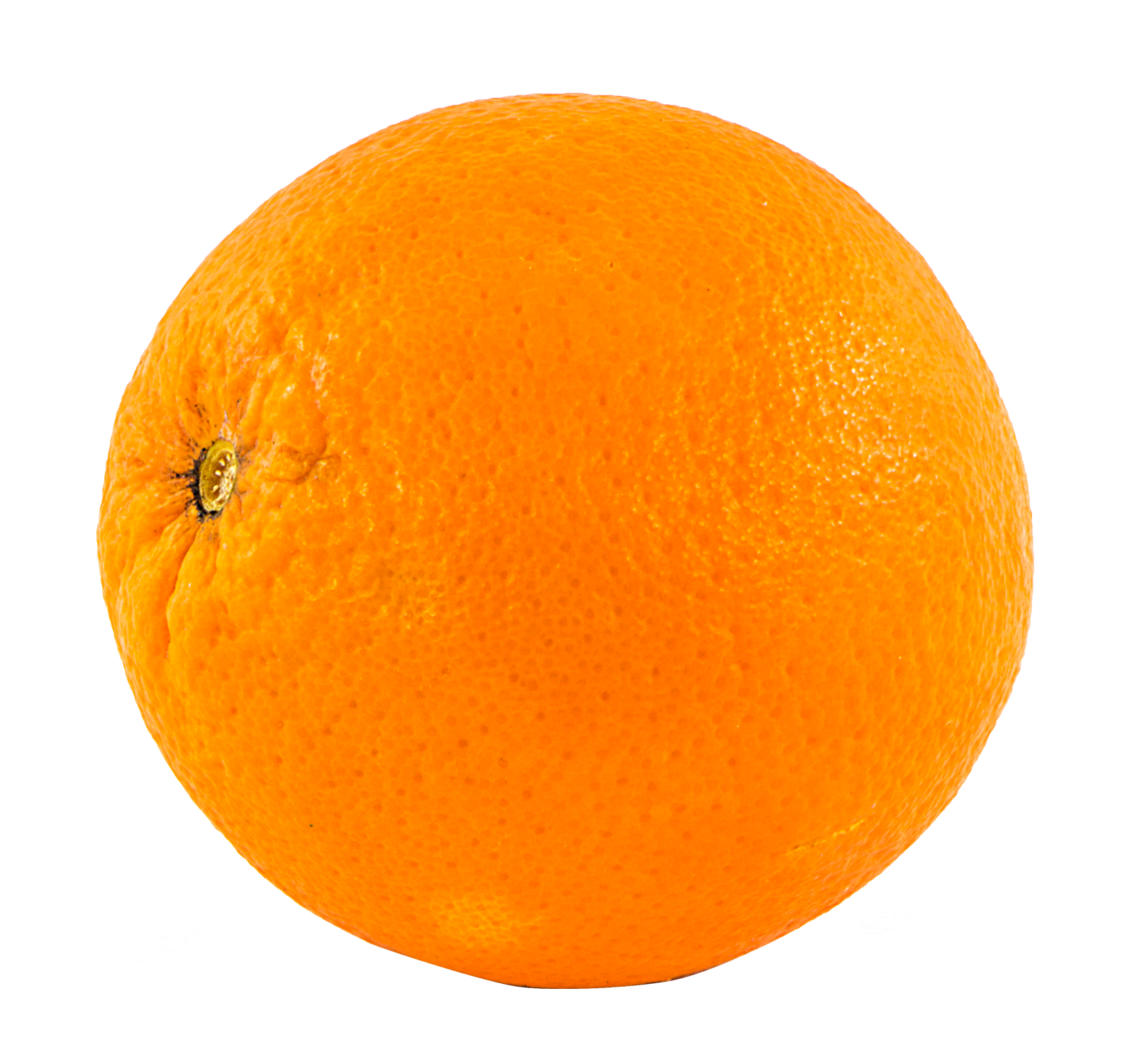 Orange Png 1600 X 1500