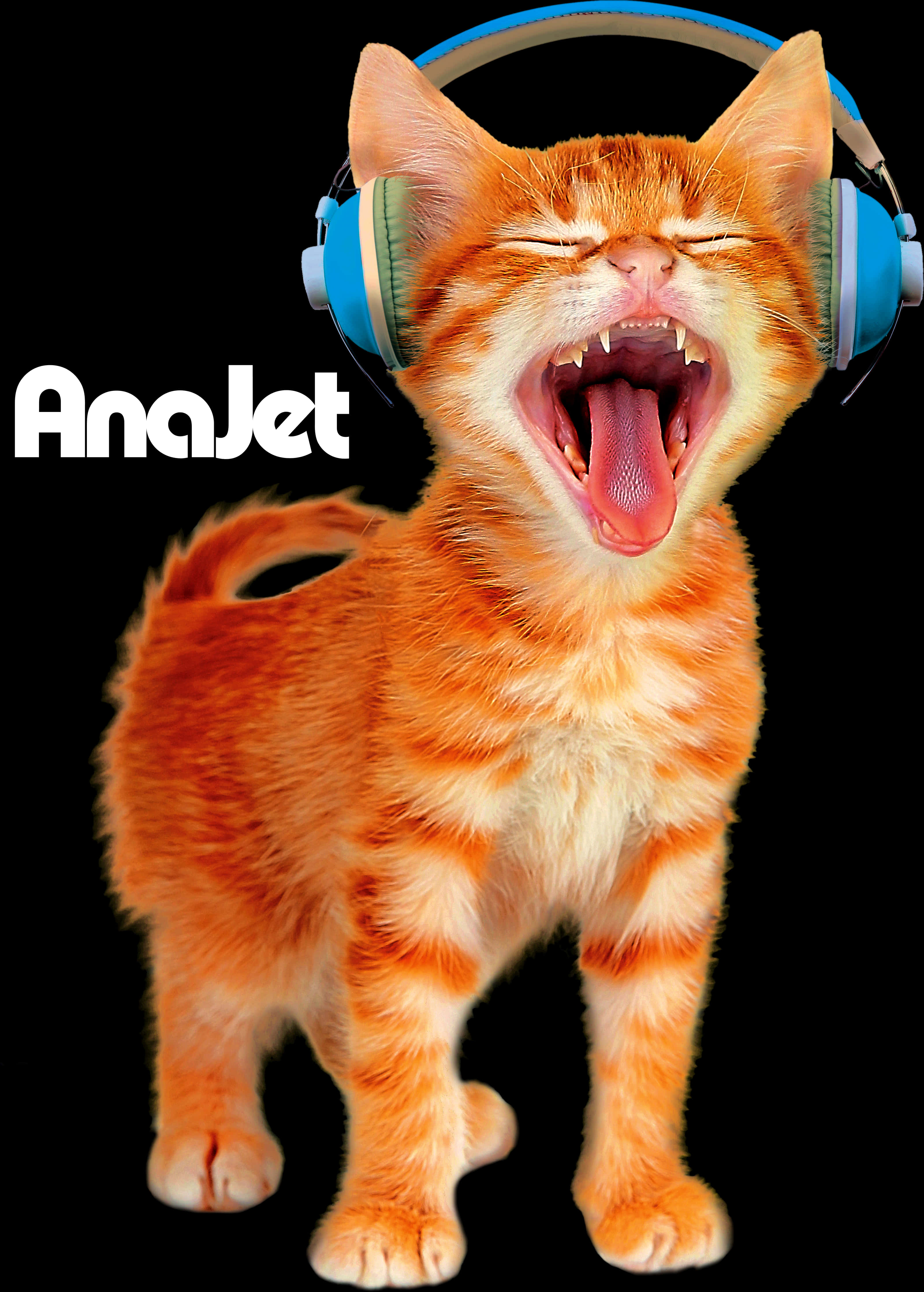 Orange Cat With Blue Headphones