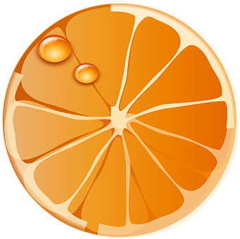 Orange Png 341 X 340