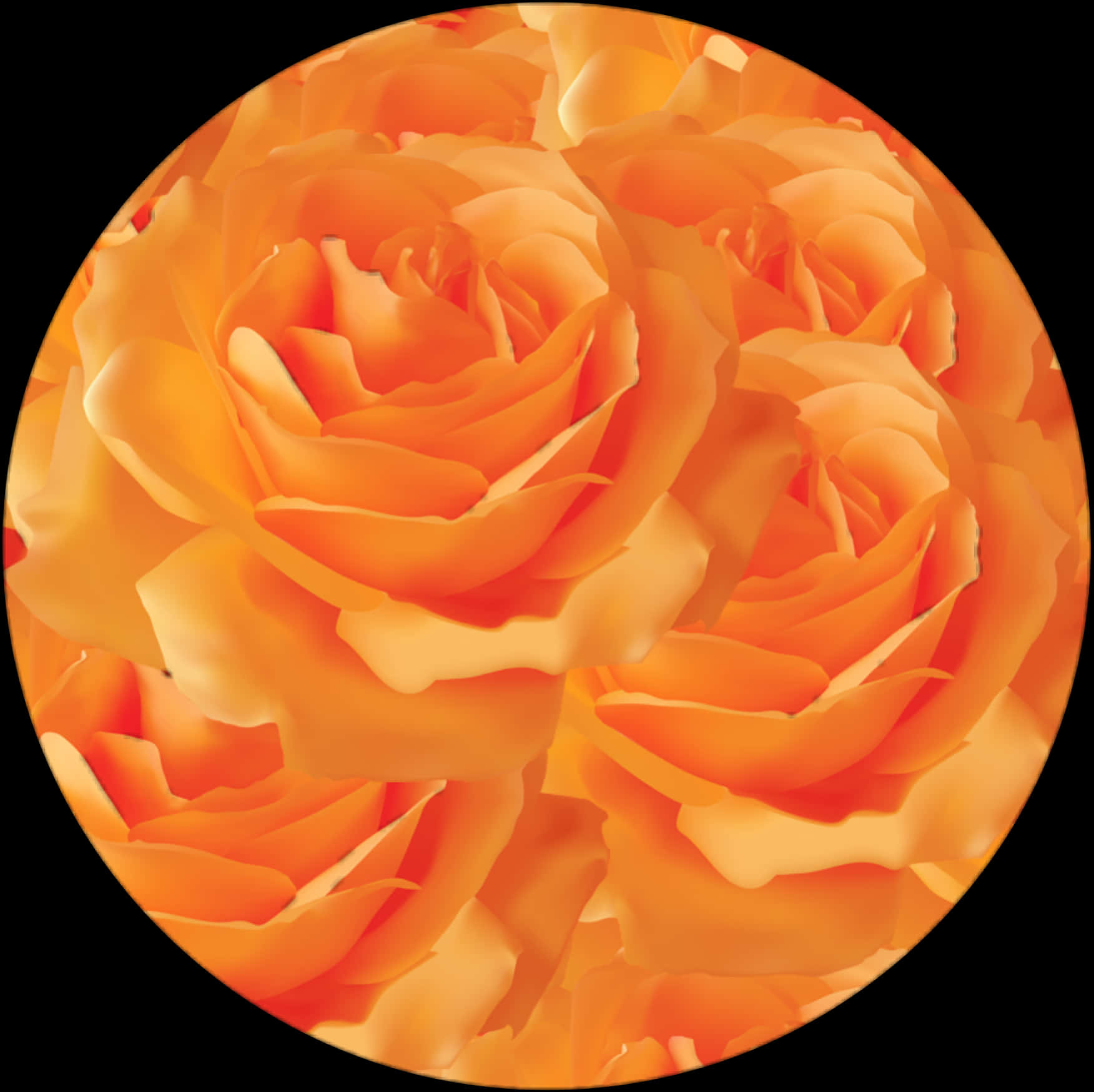 A Group Of Orange Roses