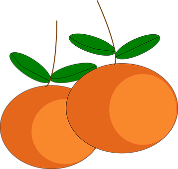 A Pair Of Oranges With Green Leaves