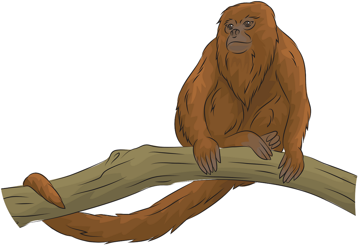 A Cartoon Of A Monkey On A Tree Branch