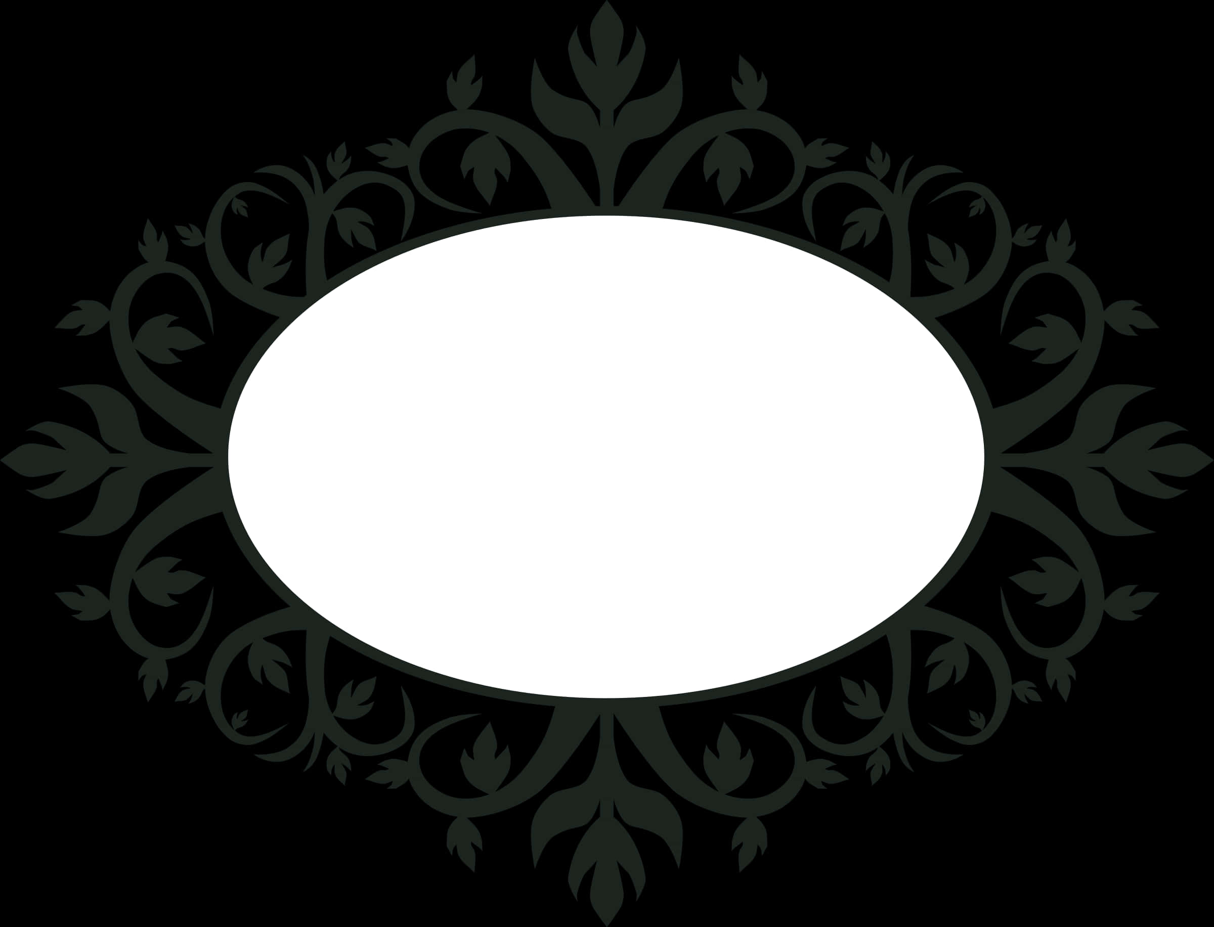 A Black And White Oval Frame