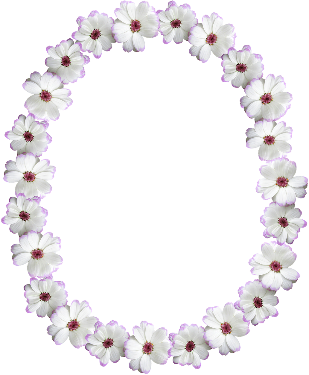 Oval Frame Png 1033 X 1253