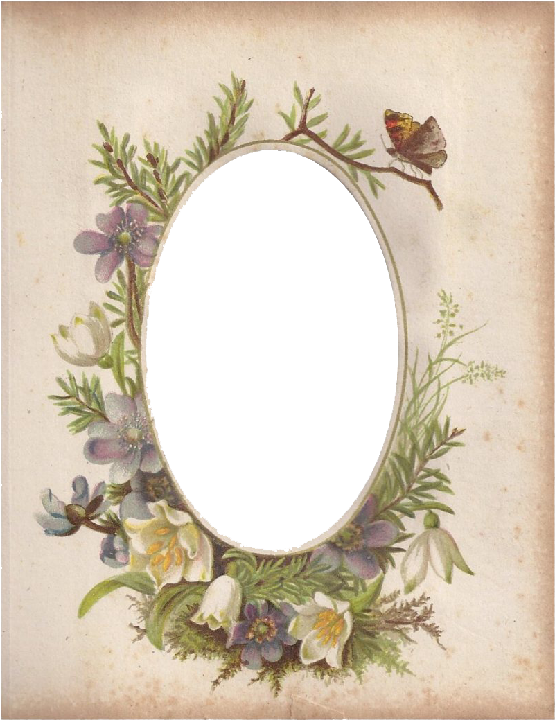 Oval Frame Png 801 X 1039