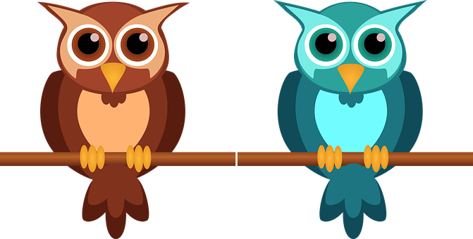 Two Owls Holding Onto A Stick