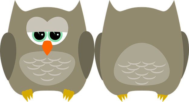 A Couple Of Owls With Big Eyes