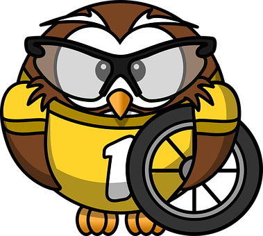 Cartoon Owl Wearing Glasses And Holding A Tire