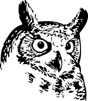 A Black And White Image Of An Owl