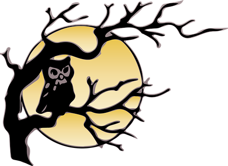 A Black And Yellow Circle With A Tree Branch And An Owl On It