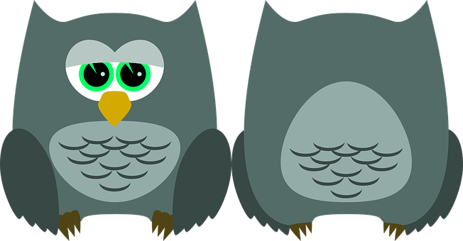 Two Owls With Green Eyes