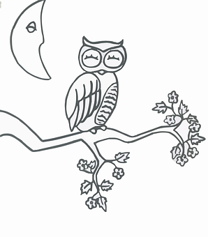 A Drawing Of An Owl On A Branch