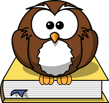A Cartoon Of A Brown Owl Sitting On A Book