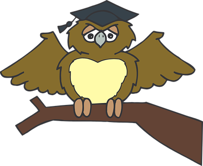 Brown Owl With Toga Hat