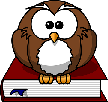 A Cartoon Of A Brown Owl Sitting On A Red Book