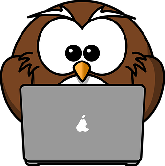 An Owl Sitting At A Laptop
