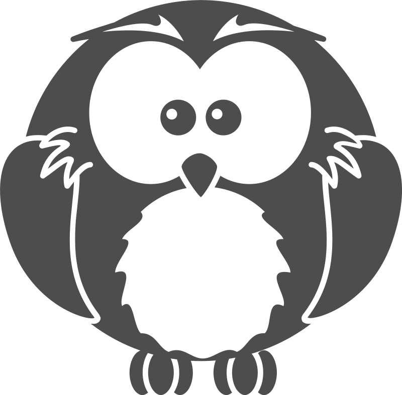 A Grey Owl With Black Background