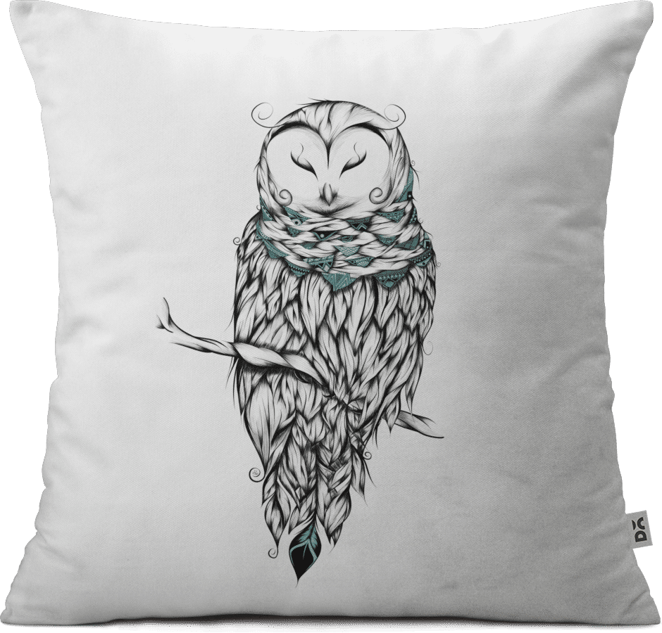 A Pillow With An Owl On It