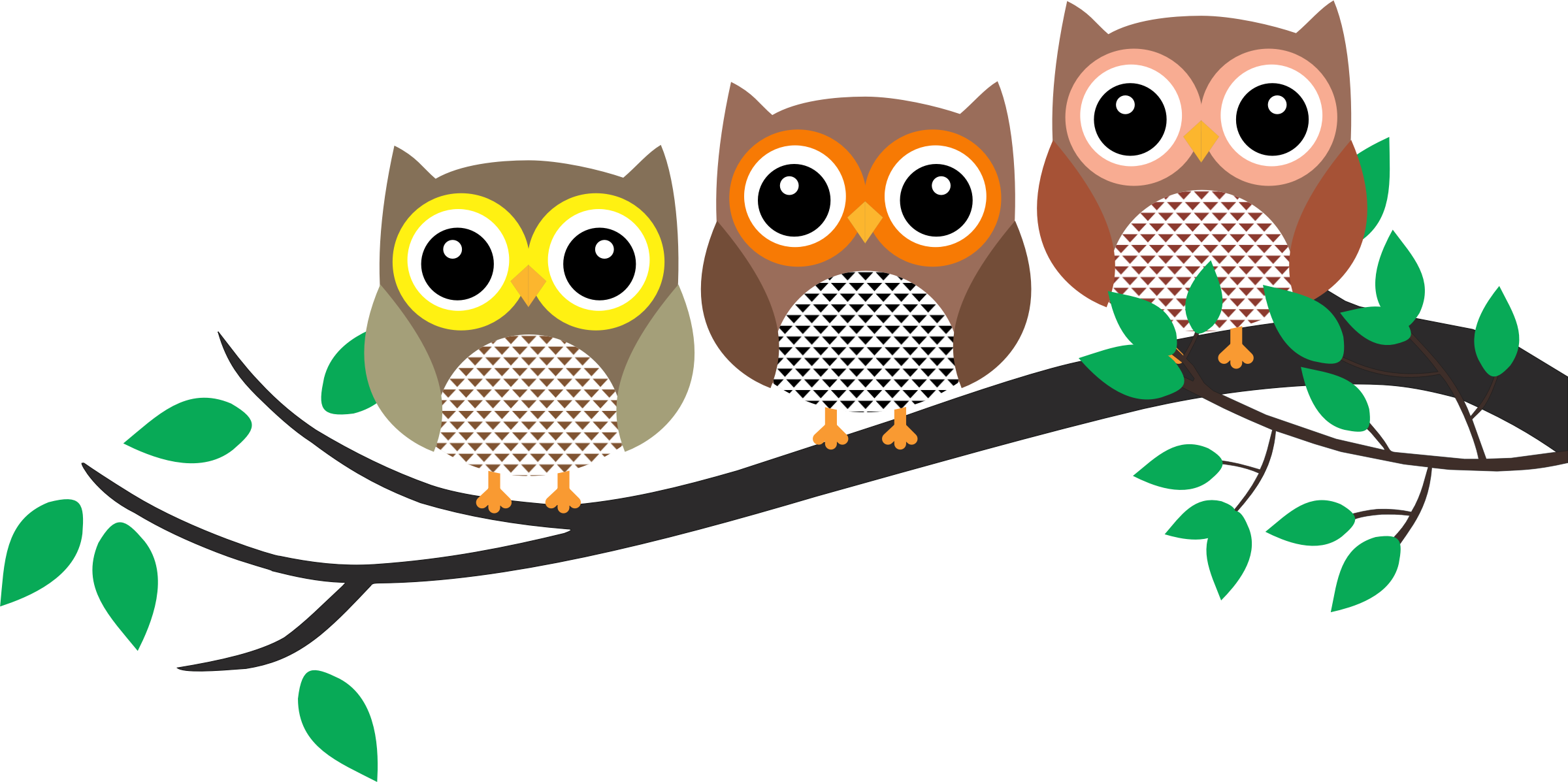 A Group Of Owls On A Branch