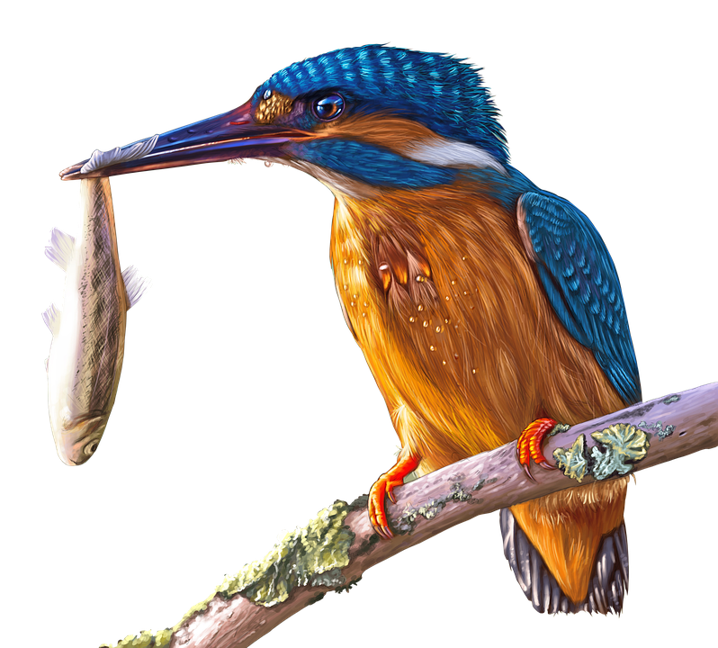 A Bird On A Branch With A Fish In Its Mouth