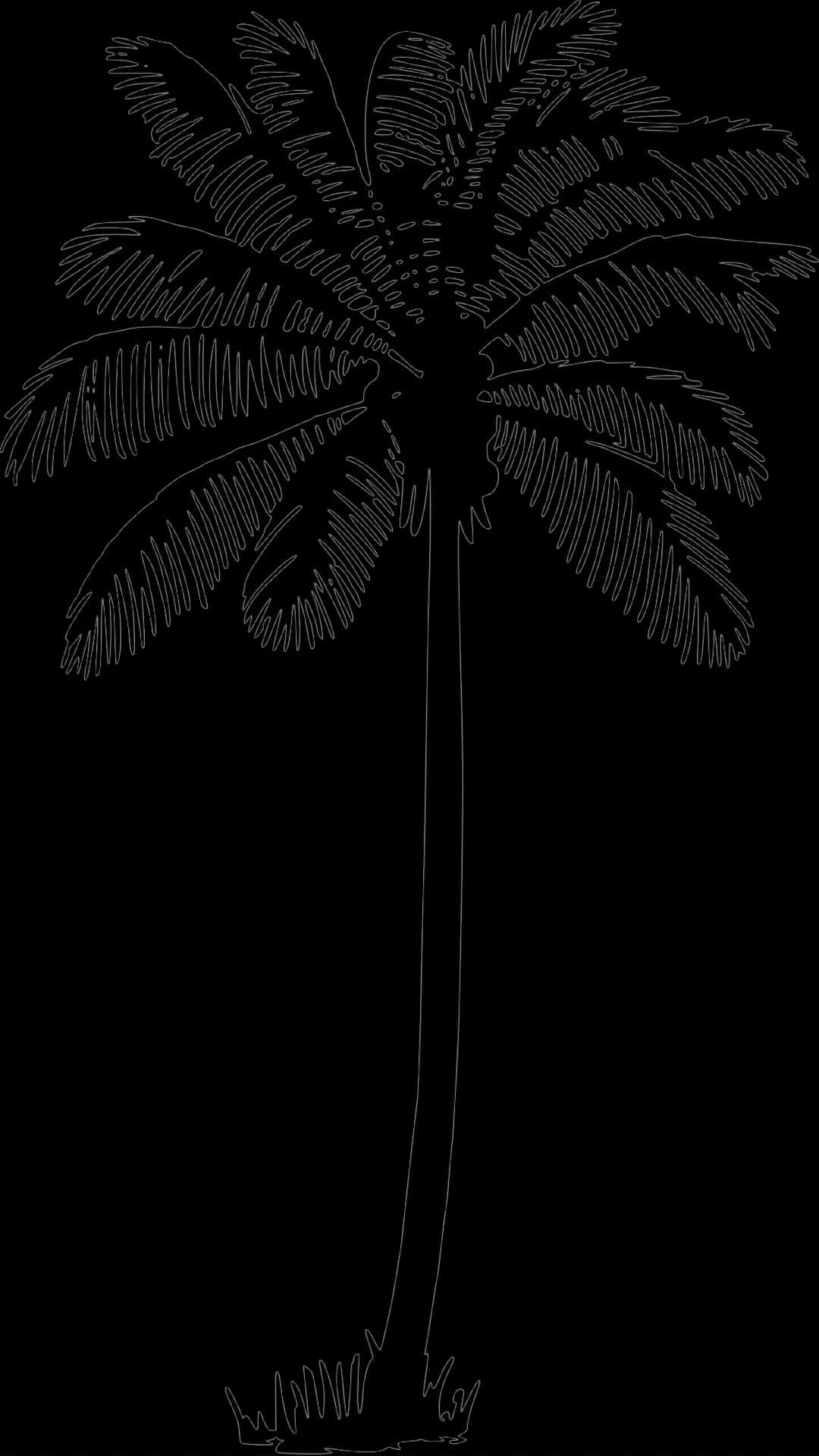 A Palm Tree Silhouette On A Black Background