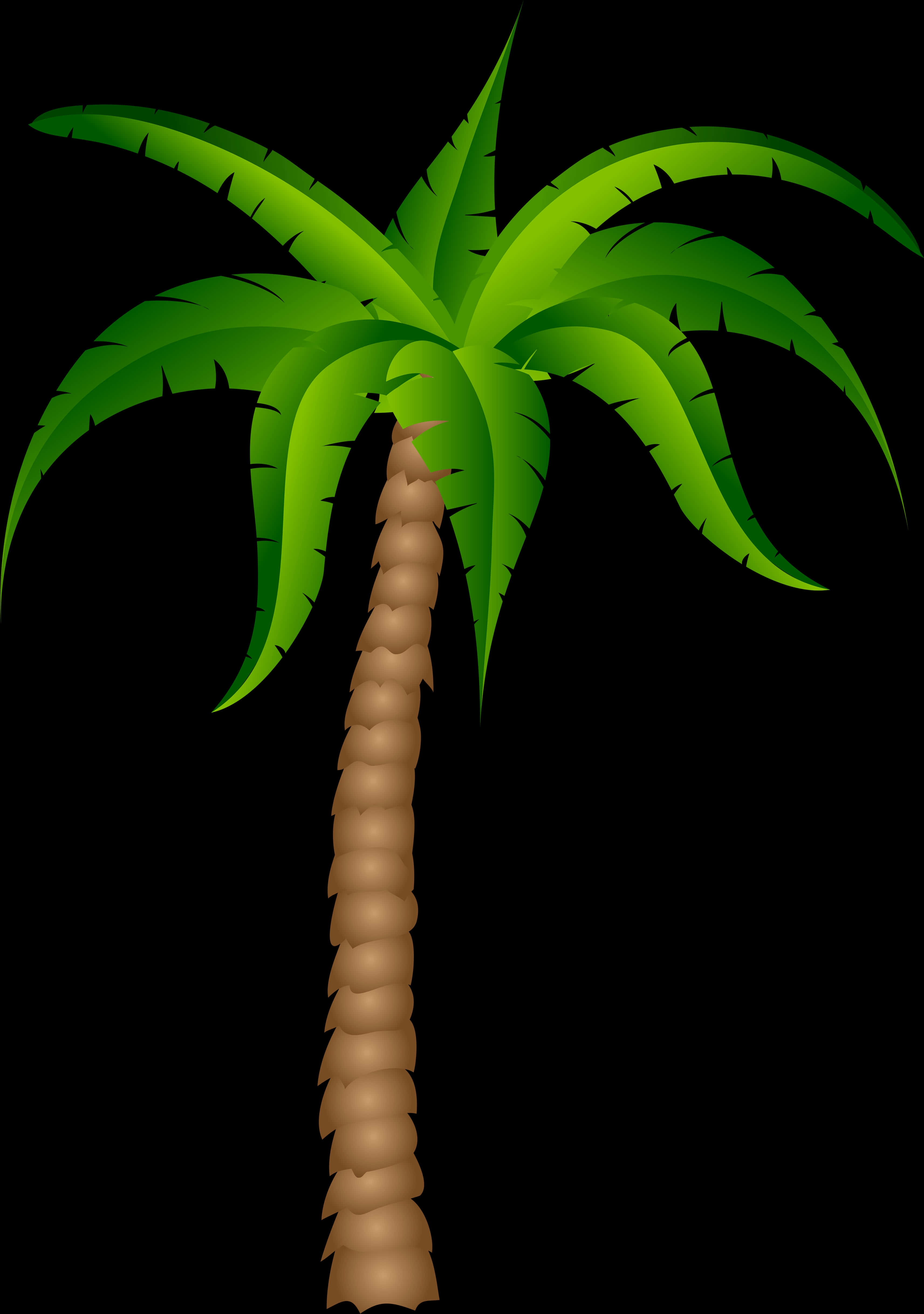 A Palm Tree With Green Leaves