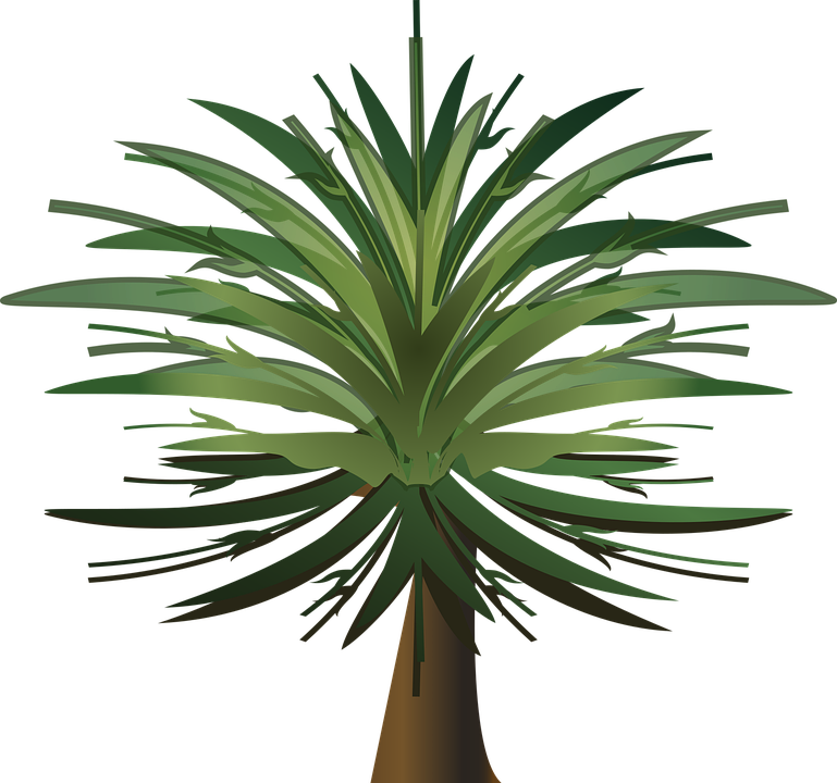 Palm Tree, Wood, Paper, Leaves, Plant, Bush, Foliage - Tree, Hd Png Download
