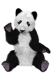 Panda Png 226 X 340